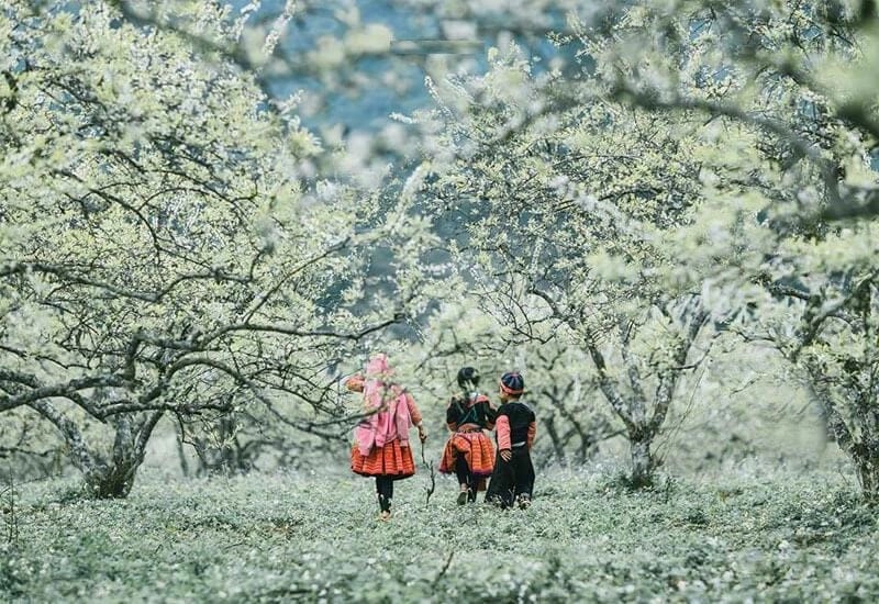 Bình yên lặng lẽ giữa bản làng mùa đông