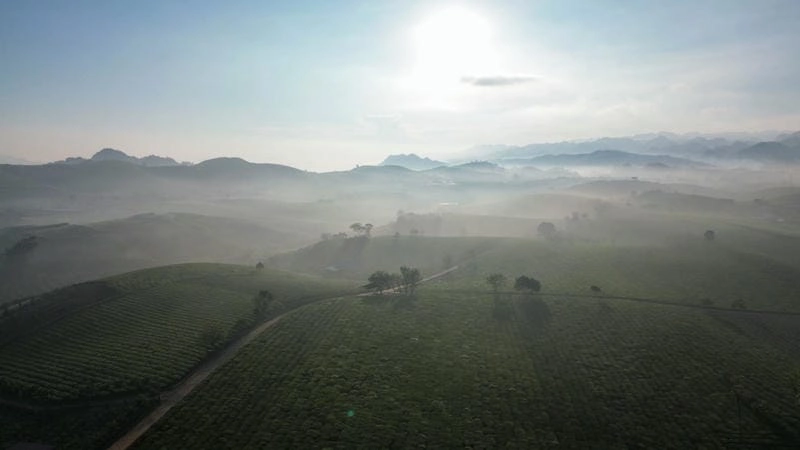 Ảnh sương mù Mộc Châu trắng xóa phủ khắp bản làng yên ả