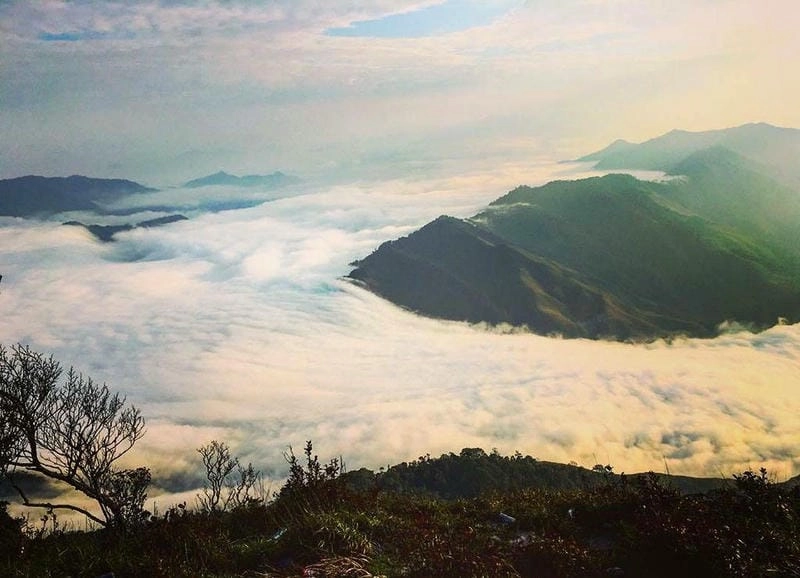 Vẻ đẹp đặc trưng của Mộc Châu vào mùa đông tinh khôi trong làn sương nhẹ