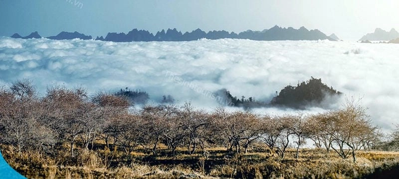 Lạc lối giữa các địa điểm khi đến Mộc Châu tuyệt đẹp