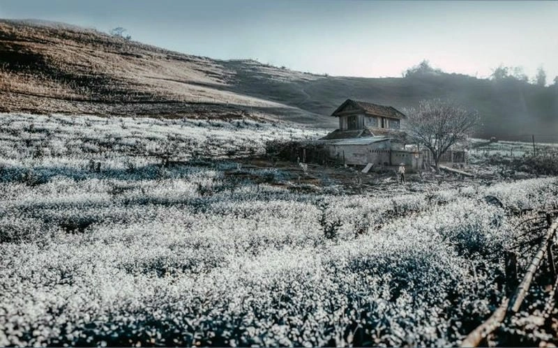 Lạnh giá đầy mê hoặc với sương mù mùa đông trải dài bất tận