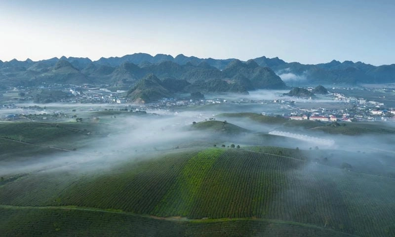 Cảm nhận Mộc Châu lạnh giá qua hơi thở mùa đông đặc quánh