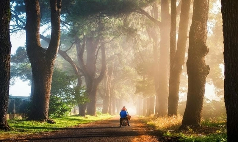 Mùa đông Pleiku có nhiều điều hấp dẫn để trải nghiệm