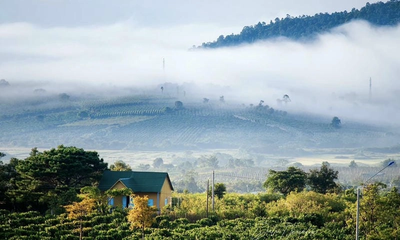 Pleiku thơ mộng dưới lớp sương mù mùa đông tuyệt đẹp