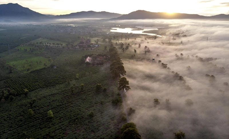 Bình minh sương mù Pleiku lung linh như chốn thần tiên