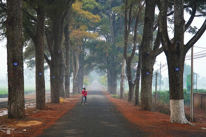 Sương mù mùa đông Pleiku phủ kín núi non huyền ảo