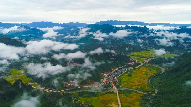 Rừng quanh mùa đông Tuyên Quang xanh mát rượi