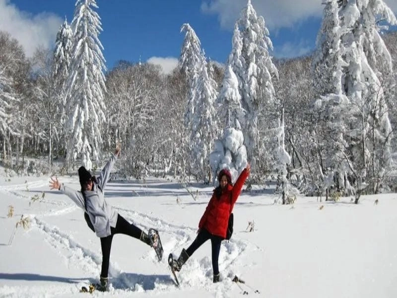 Mùa đông Sapporo ngập tràn tuyết trắng