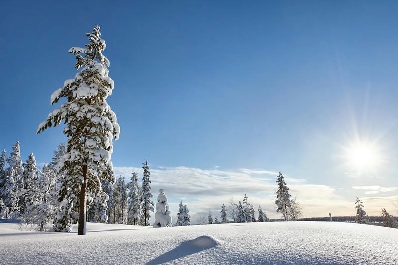 Bình minh tuyết rơi ở Lapland đẹp đến nao lòng