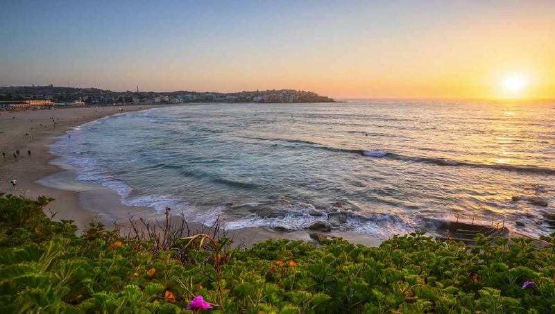 Bình minh Bondi Beach lung linh rực rỡ