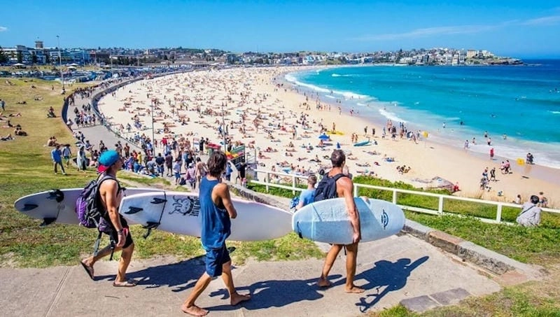 Lướt sóng Bondi đầy phấn khích mùa hè
