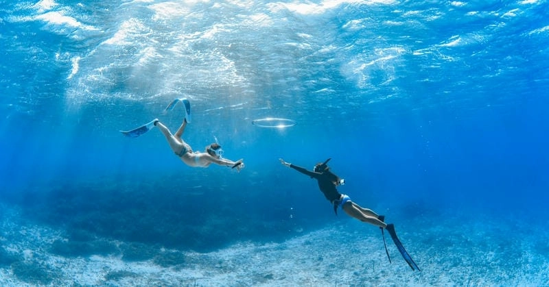 Lặn biển Maldives là trải nghiệm không thể bỏ lỡ tại đây