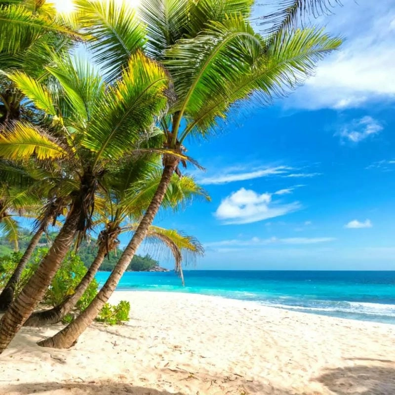 Bình minh Waikiki đẹp đến nao lòng