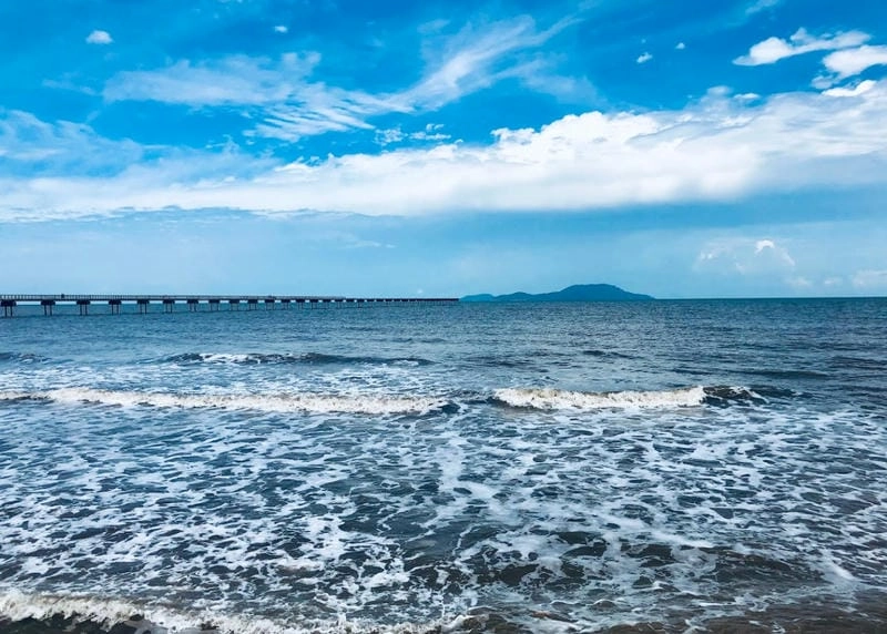 Mùa hè thơ mộng ở Cà Mau mang lại nhiều cảm xúc