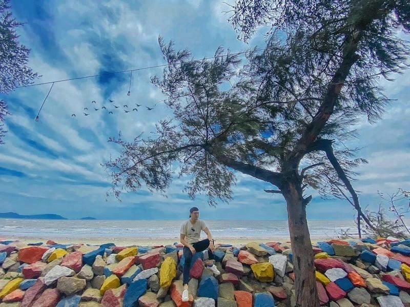 Vẻ đẹp đặc trưng của Cần Giờ khiến bao du khách không thể rời mắt