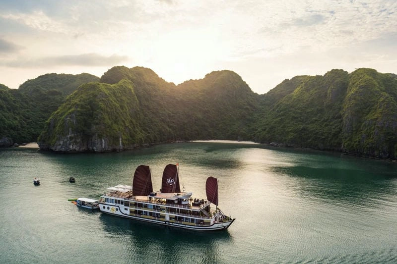 Tận hưởng khung cảnh thuyền biển mùa hè