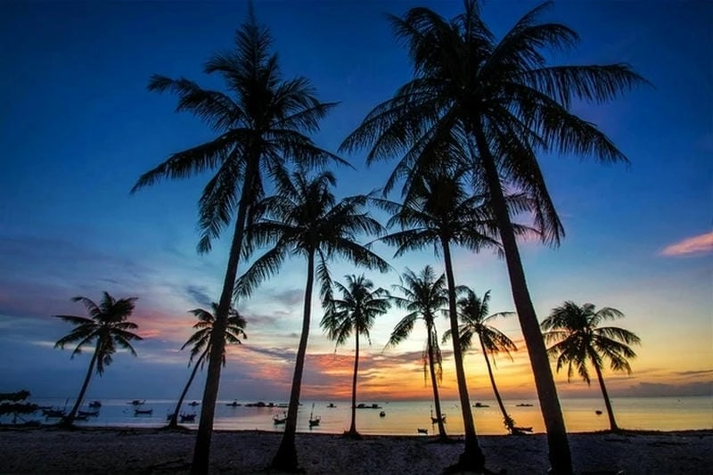 Hoàng hôn Kiên Giang mùa hè thơ mộng lãng mạn khó quên