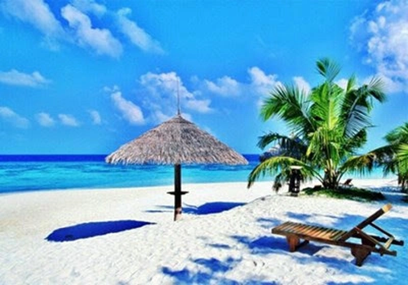 Say đắm ánh nắng mùa hè thơ mộng