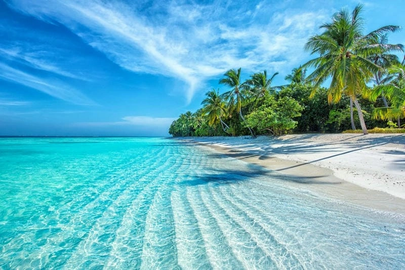 Không thể bỏ qua những lý do khiến Nha Trang mùa hè thu hút du khách