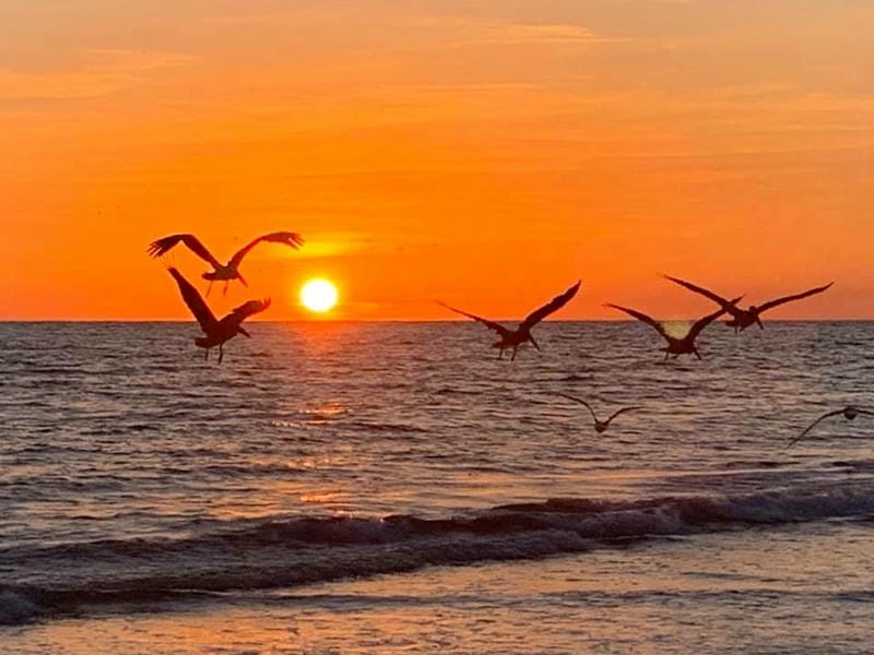 Ngắm hoàng hôn Vĩnh Hy đắm chìm cảm xúc