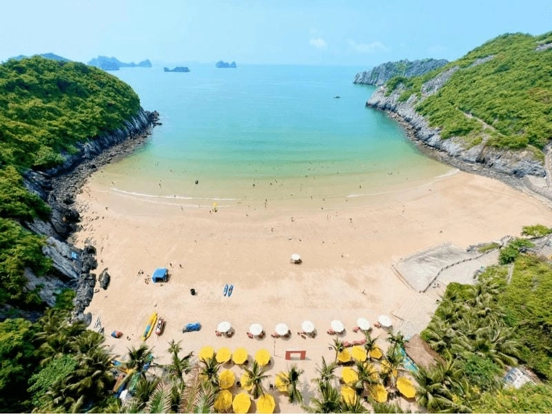 Khám phá lý do du khách chọn mùa hè biển Cát Bà