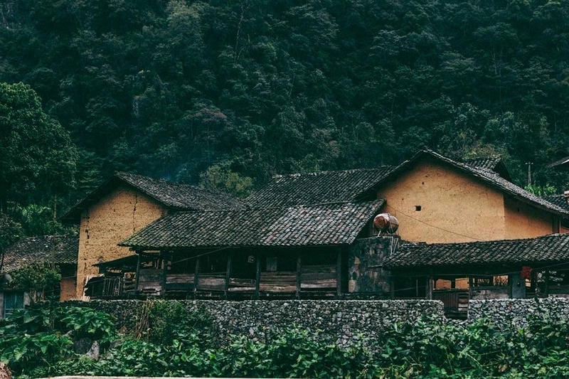 Lưu giữ khoảnh khắc với ảnh hoa cải Hà Giang