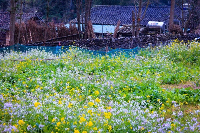 Lạnh giá quyến rũ của mùa đông Hà Giang