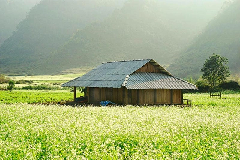 Đừng quên lưu lại hướng dẫn di chuyển đến Mộc Châu