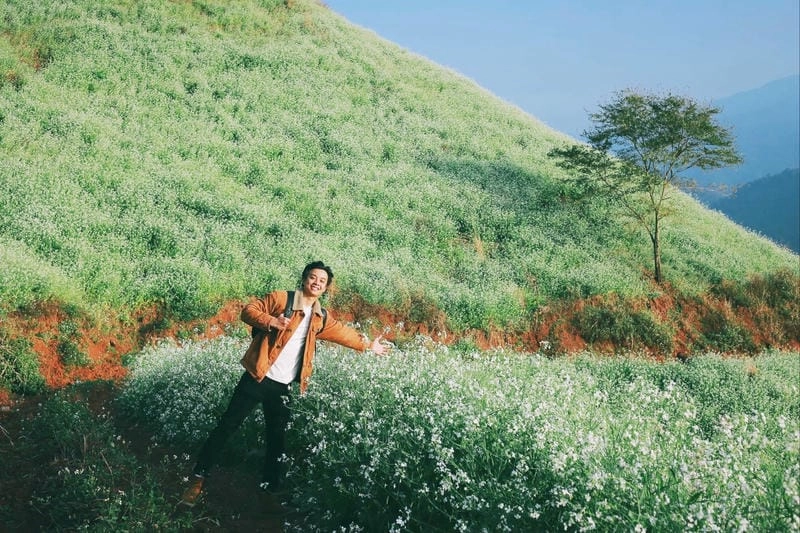 Cùng nhau ngắm hoa cải trắng nở rộ khoe sắc giữa đại ngàn