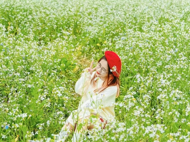 Trải nghiệm mùa hoa cải trắng Sơn La say đắm lòng