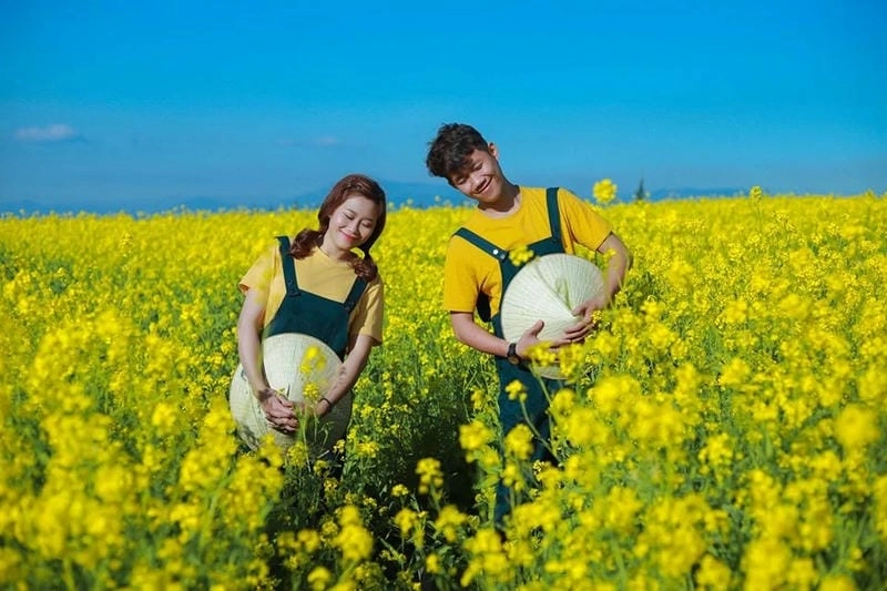 Cánh đồng cải rực rỡ vàng tươi giữa lòng Sơn La