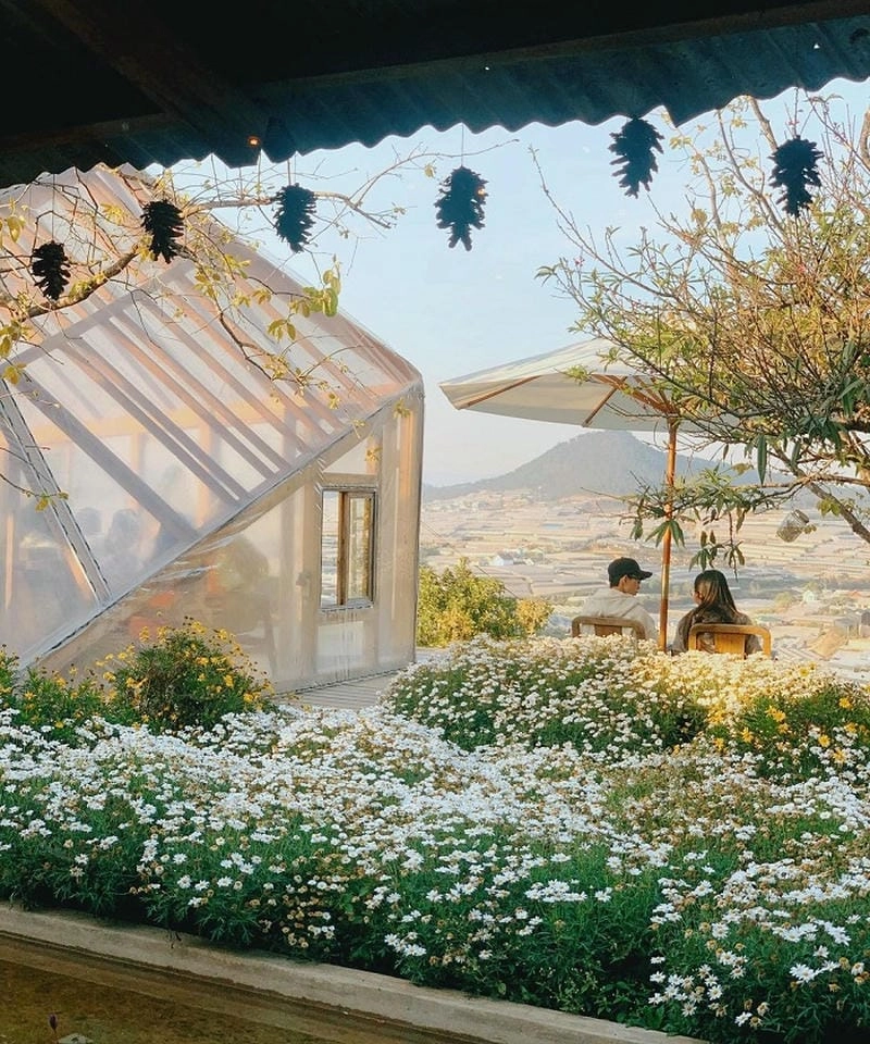 Cảm nhận cái lạnh dịu dàng mùa đông Đà Lạt nhẹ nhàng