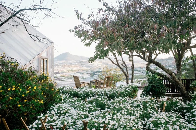 Nhẹ bước giữa Đà Lạt thơ mộng trời xanh