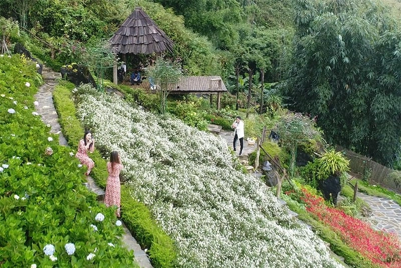 Se lạnh dịu êm của mùa đông Sapa