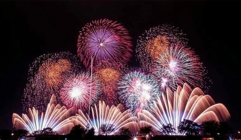 Đêm mùa đông Yên Bái ấm áp bên cúc họa mi