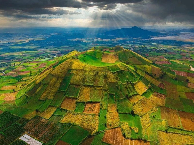 Đồi hoa dã quỳ Gia Lai bạt ngàn sắc vàng rực rỡ