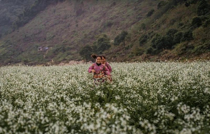 Mùa hoa Mộc Châu – thời điểm lý tưởng để chụp ảnh