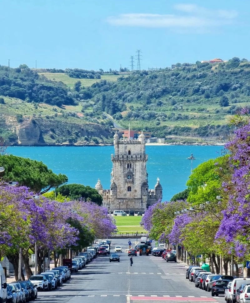 Những điểm ngắm hoa phượng tím tuyệt đẹp