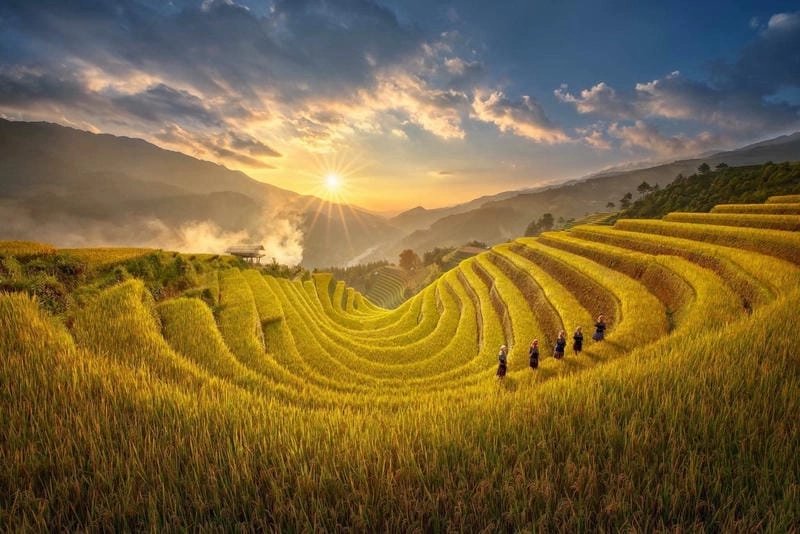 Trải nghiệm các hoạt động không thể bỏ lỡ khi đến Mù Cang Chải