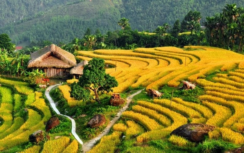 Mùa thu Yên Bái mang hơi thở bình yên và mộng mơ