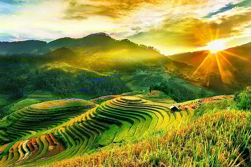 Sáng sớm đón bình minh lúa chín trên núi rừng