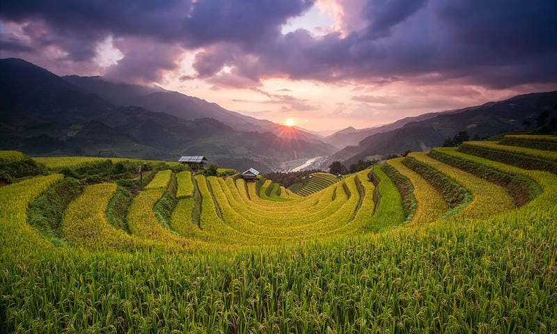 Chiều vàng buông trên hoàng hôn Yên Bái lộng lẫy
