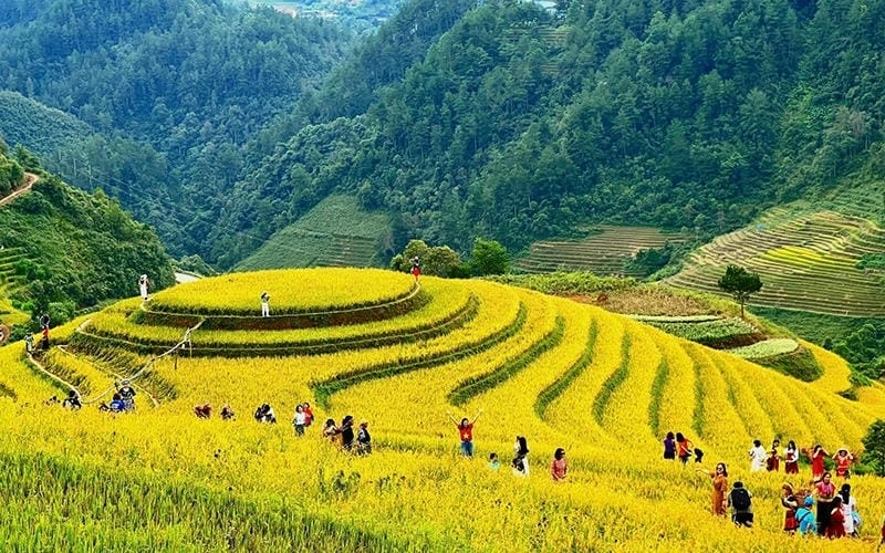 Lúa vàng Bắc Kạn quyện sắc trời