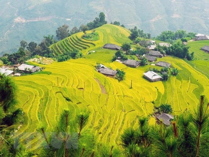 Yêu thương trọn vẹn mùa thu Lào Cai