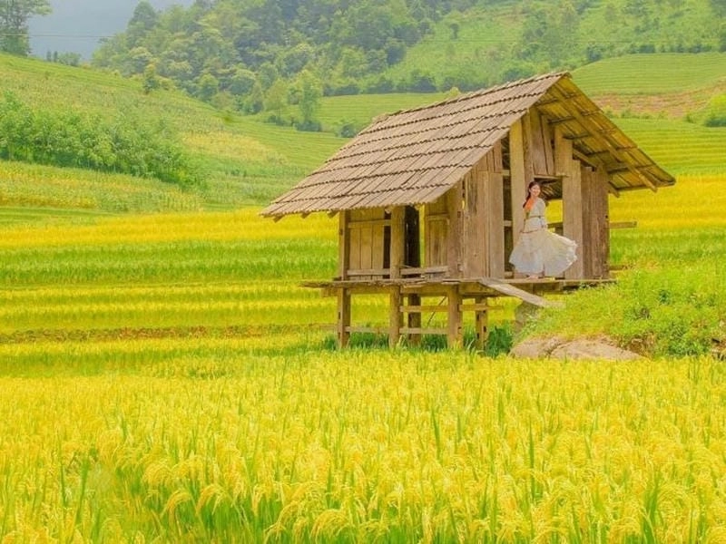 Nhẹ nhàng sâu lắng Lào Cai thơ mộng