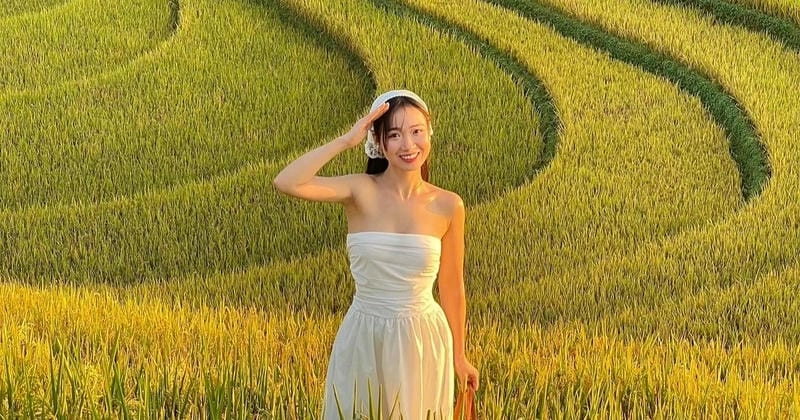 Đèo lúa chín Yên Bái mùa thu cảnh đẹp khó quên trong tim