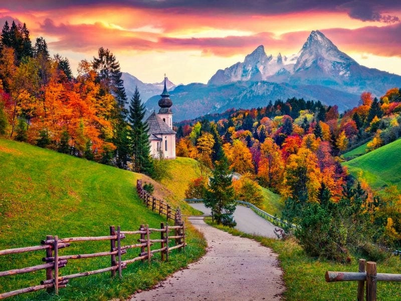 Vẻ đẹp huyền ảo của mùa thu lá đỏ tại Black Forest Đức khiến lòng người xao xuyến