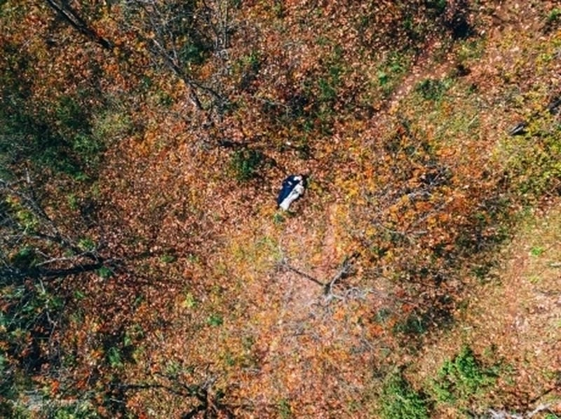 Cam vàng rực rỡ hoàng hôn Đà Lạt