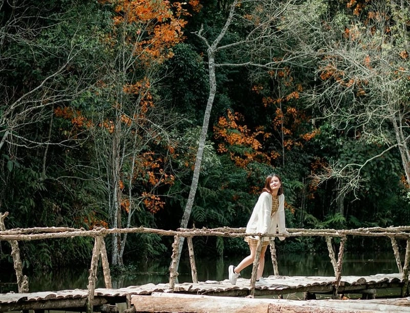 Ngọt ngào trong veo Hồ Tuyền Lâm mùa thu