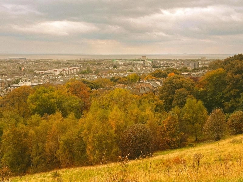 Đường mòn lá đỏ trải dài lãng mạn